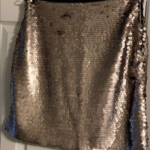 Sequin silver metallic skirt.